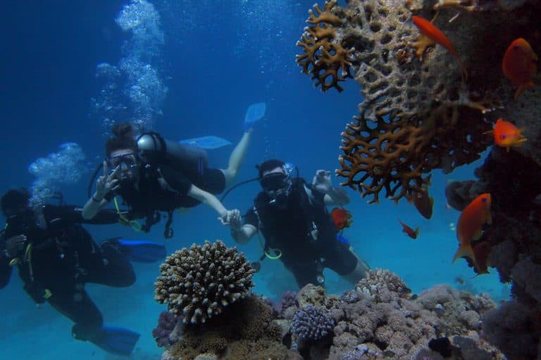 Scuba Diving - A rush of adrenaline